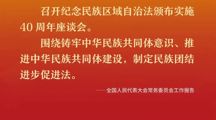 海报 | 全国两会高频词——铸牢中华民族共同体意识